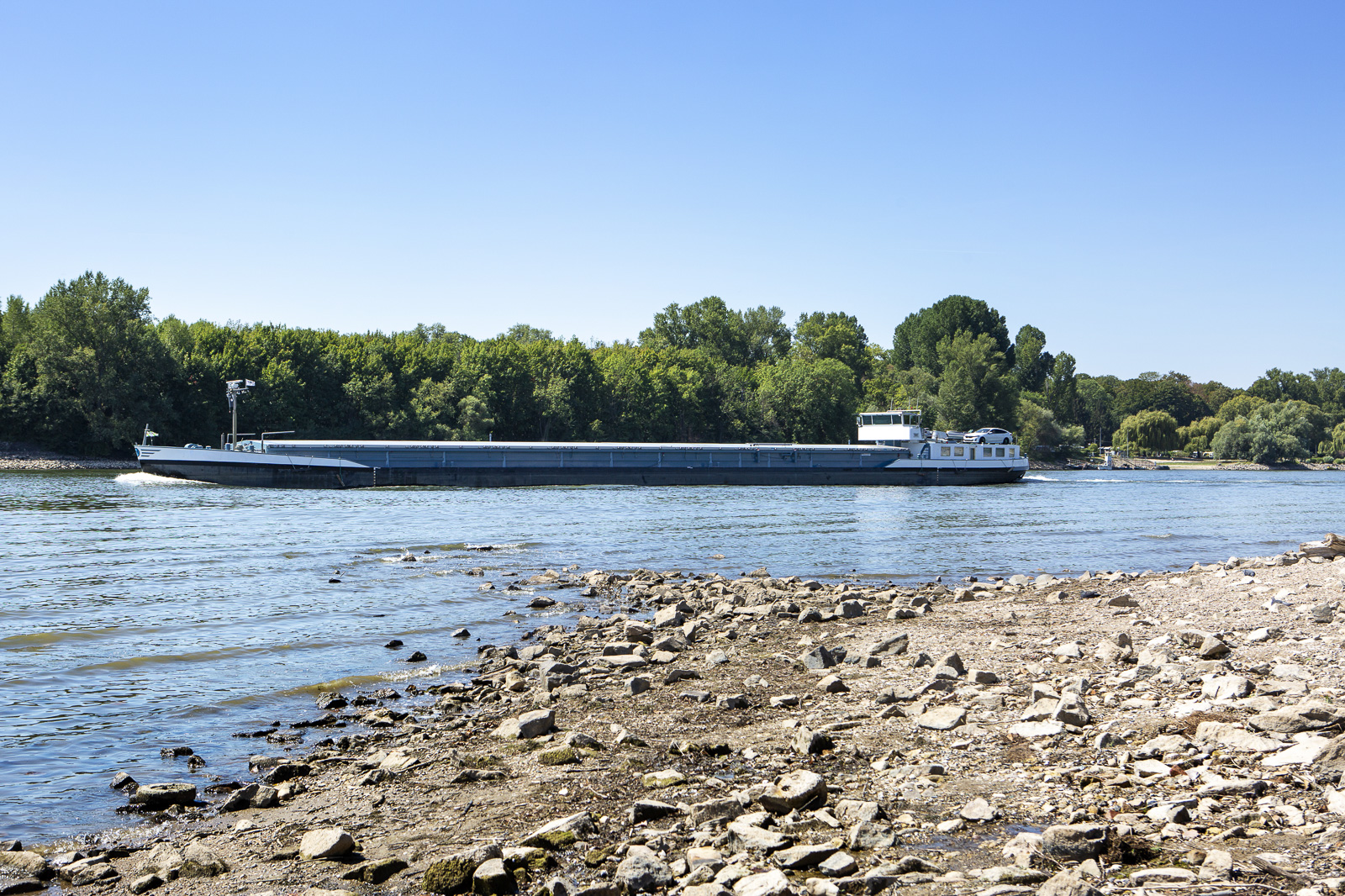 Foto: Niedrigwasser im Rhein bei Wiesbaden. Im Vordergrund eine Sandbank, dahinter der Fluss mit einem Güterschiff