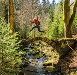 Eine Person springt auf einer kleinen Brücke mitten im Wald in die Luft